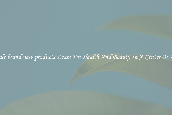 Wholesale brand new products steam For Health And Beauty In A Center Or At Home