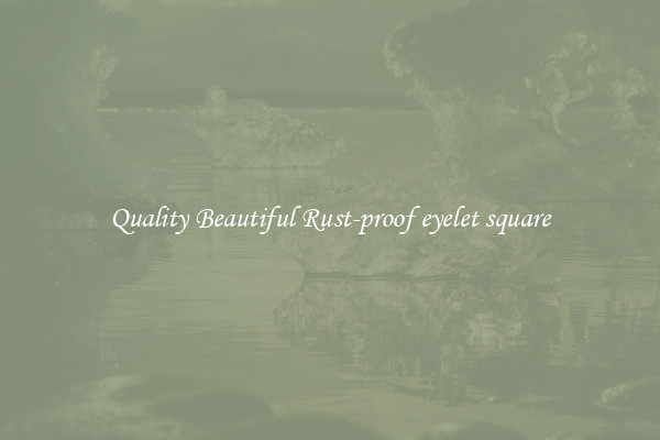 Quality Beautiful Rust-proof eyelet square