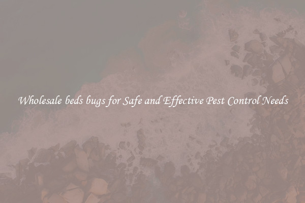 Wholesale beds bugs for Safe and Effective Pest Control Needs