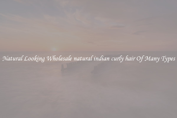 Natural Looking Wholesale natural indian curly hair Of Many Types