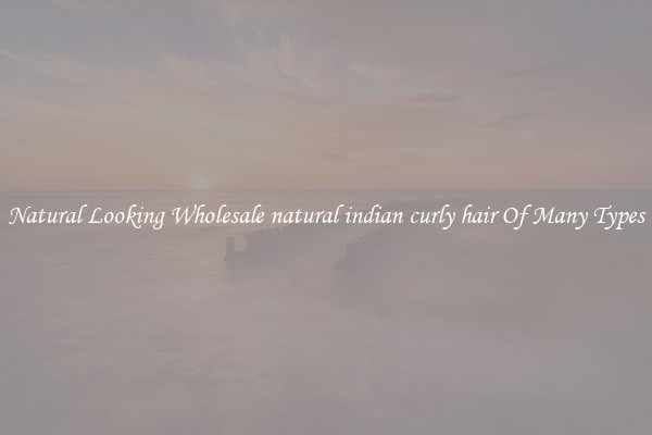 Natural Looking Wholesale natural indian curly hair Of Many Types