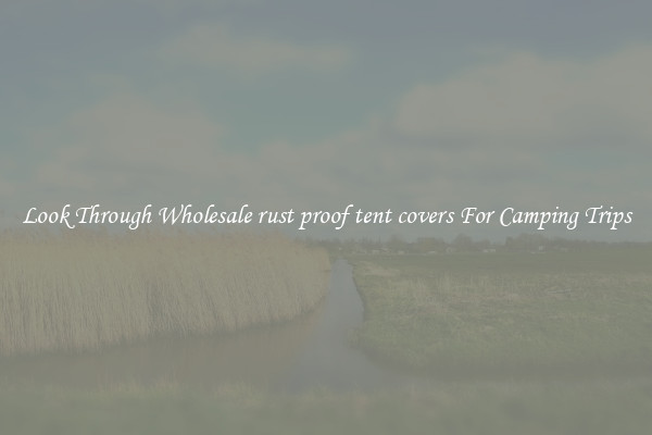 Look Through Wholesale rust proof tent covers For Camping Trips
