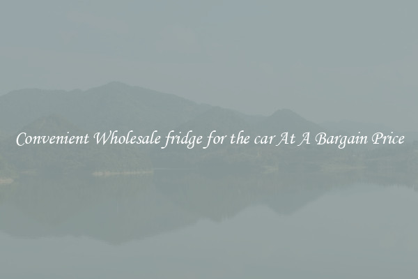 Convenient Wholesale fridge for the car At A Bargain Price