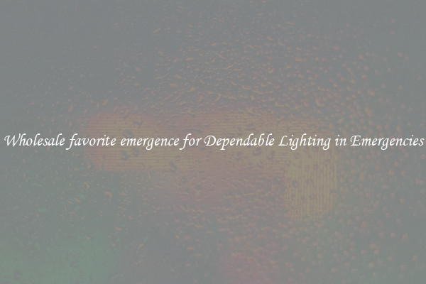Wholesale favorite emergence for Dependable Lighting in Emergencies