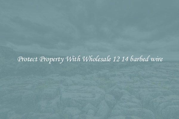 Protect Property With Wholesale 12 14 barbed wire