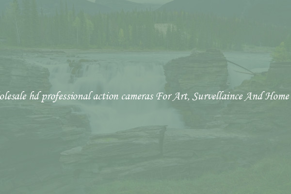 Wholesale hd professional action cameras For Art, Survellaince And Home Use