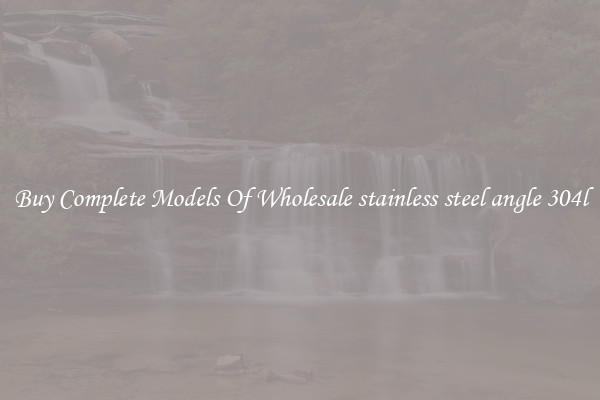 Buy Complete Models Of Wholesale stainless steel angle 304l