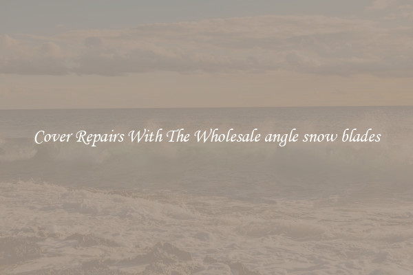  Cover Repairs With The Wholesale angle snow blades 