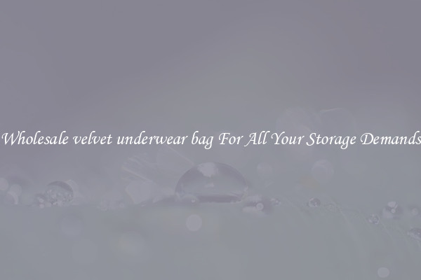 Wholesale velvet underwear bag For All Your Storage Demands