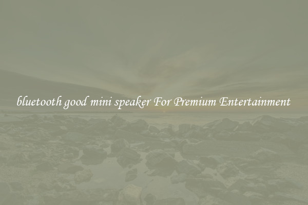 bluetooth good mini speaker For Premium Entertainment 