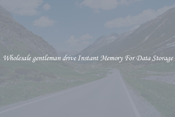 Wholesale gentleman drive Instant Memory For Data Storage