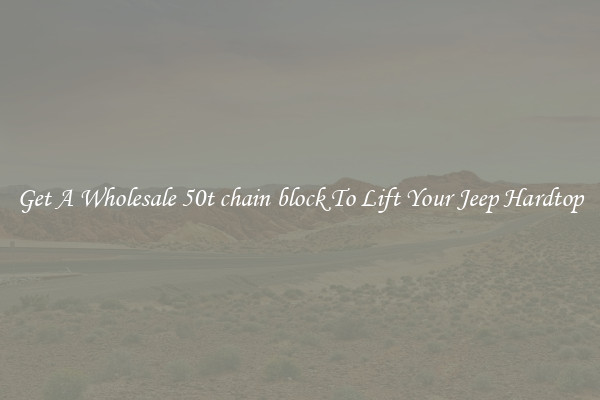Get A Wholesale 50t chain block To Lift Your Jeep Hardtop
