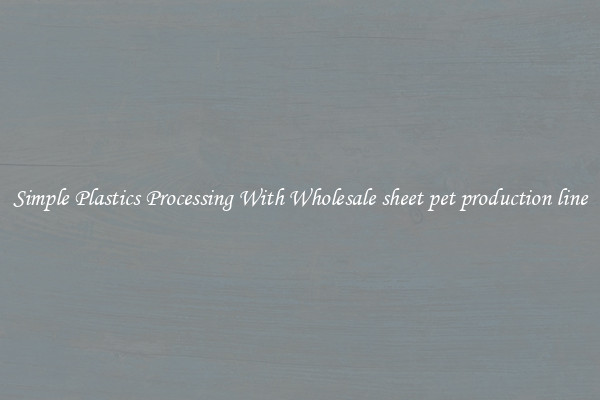 Simple Plastics Processing With Wholesale sheet pet production line
