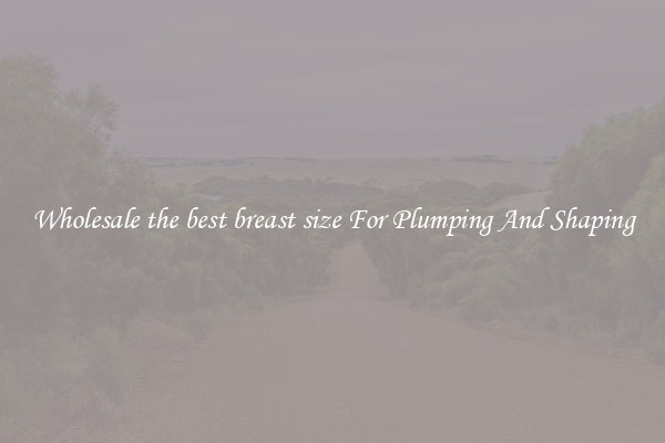 Wholesale the best breast size For Plumping And Shaping