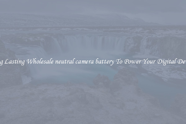 Long Lasting Wholesale neutral camera battery To Power Your Digital Devices