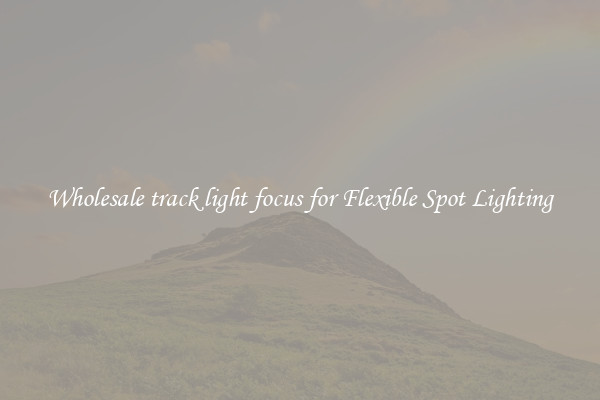 Wholesale track light focus for Flexible Spot Lighting