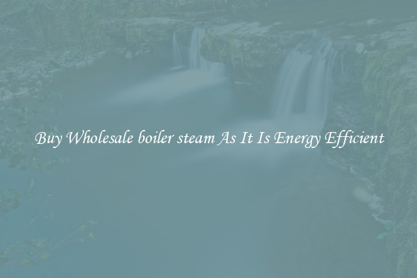 Buy Wholesale boiler steam As It Is Energy Efficient