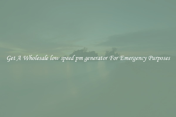 Get A Wholesale low speed pm generator For Emergency Purposes